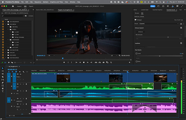 Premiere Pro Interface